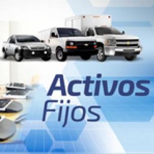 Trivia Activos Fijos