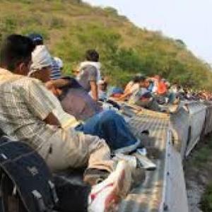 Comunidad migrante