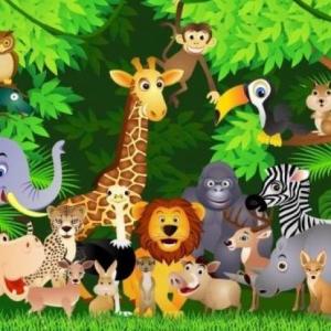 Encuentra los animales de la selva