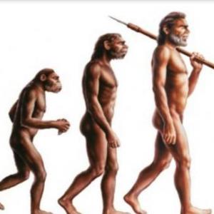 Evolución humana