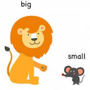 Imagen de portada del videojuego educativo: Aumentativos y diminutivos, de la temática Lengua