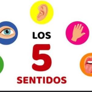 JUGANDO CON LOS SENTIDOS