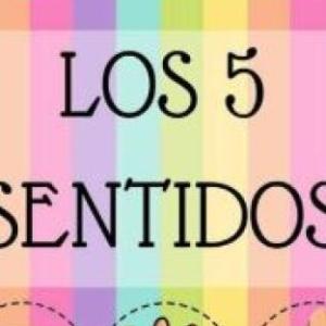 LOS SENTIDOS
