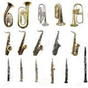 Imagen de portada del videojuego educativo: Instrumentos de Viento - Aerófonos, de la temática Música