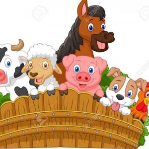 busquemos los animales