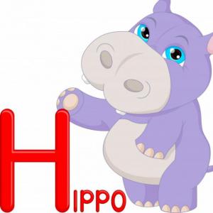 Duchazo de Hippo