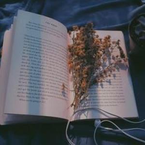 LA LITERATURA