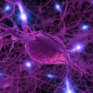 Hormonas y salud mental
