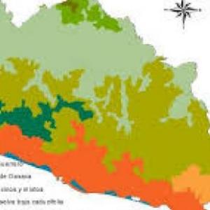 Los ecosistemas