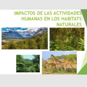 IMPACTOS DE LAS ACTIVIDADES HUMANAS EN LOS HABITATS NATURALES