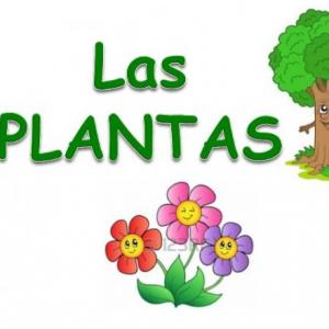 Imagen de portada del videojuego educativo: LAS PLANTAS , de la temática Ciencias