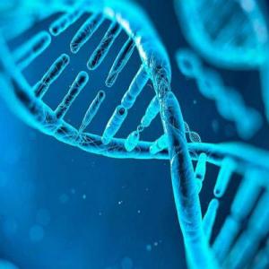 Imagen de portada del videojuego educativo: ¿Cuál es tu saber en genética?, de la temática Biología