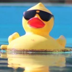 patitos al agua