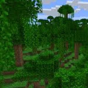 CONOCE LOS ANIMALES DE LA SELVA