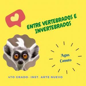 Entre vertebrados e invertebrados