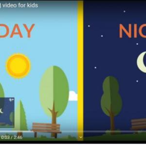 Activities during day and night.