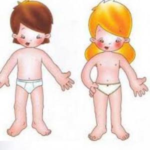 Las Partes de Nuestro Cuerpo