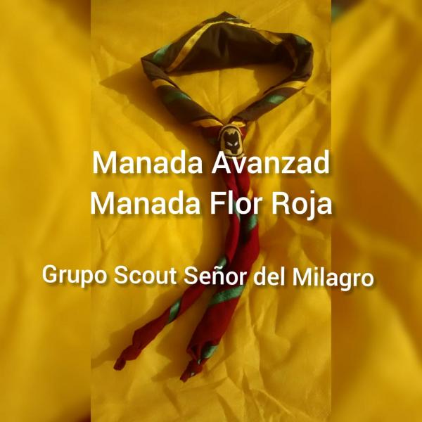 MANADAS 1