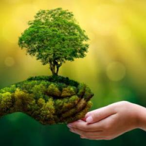AMBIENTAL