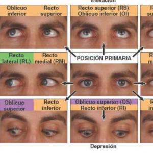 SN prueba 2