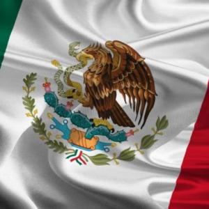 Mexican Independence war