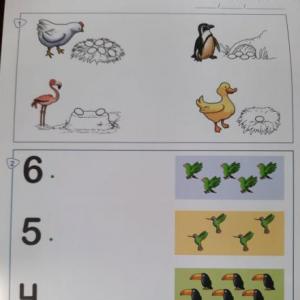 planificación