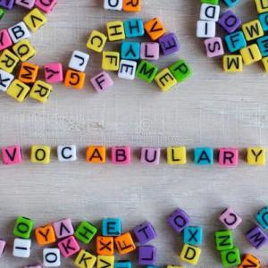 vocabulary