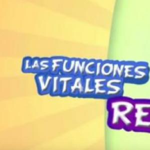 FUNCIONES VITALES DE LOS SERES VIVOS