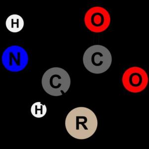 Imagen de portada del videojuego educativo: MEMORAMA DE AMINOÁCIDOS 1, de la temática Química