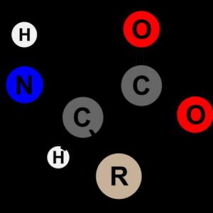 Imagen de portada del videojuego educativo: MEMORAMA DE AMINOÁCIDOS 2, de la temática Química