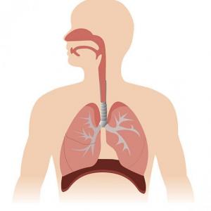 Patologías del sistema respiratorio.