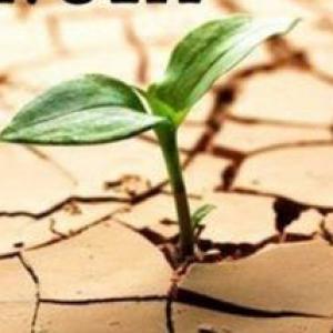 la resiliencia 