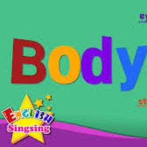 Portada del juego PARTS OF THE BODY – Idiomas