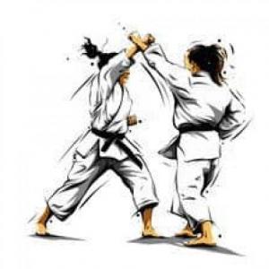 TÉRMINOS DE KARATE-DO SHOTOKAN