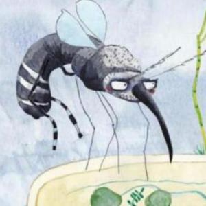 CONOCE SOBRE EL DENGUE