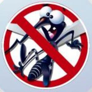 CONOCE SOBRE EL DENGUE