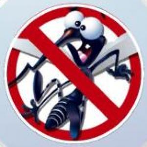 CONOCE SOBRE EL DENGUE 