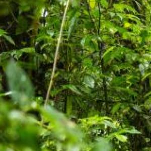 Juego supervivencia