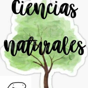 IMPORTANCIA DE LAS CIENCIAS NATURALES