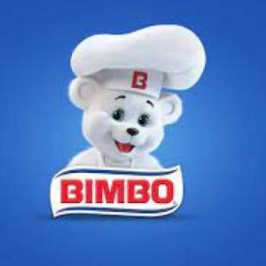 PRIMEROS PASOS DEL OSITO BIMBO
