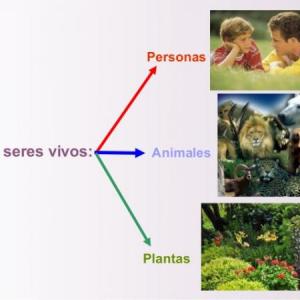 El ser humano como ser social y cultural