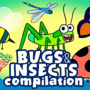 Insects