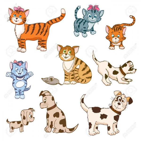 ¿cuantos perros y gatos hay?