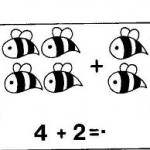la cantidad total de abejas