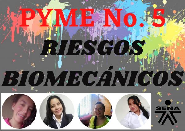 Clasificación y Agentes de los Riesgos Biomecánicos