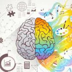 HABILIDADES COGNITIVAS