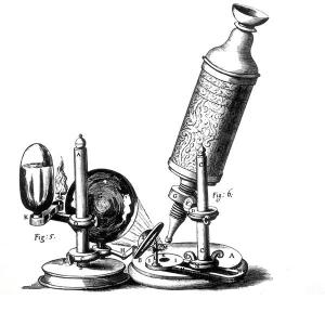 El microscopio