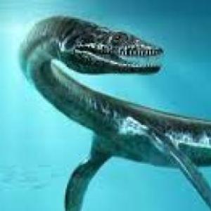 los dinosaurios