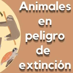 Descubre los animales que están en peligro de extincion