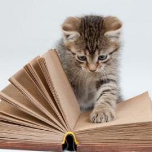 Lectura y Redacción 